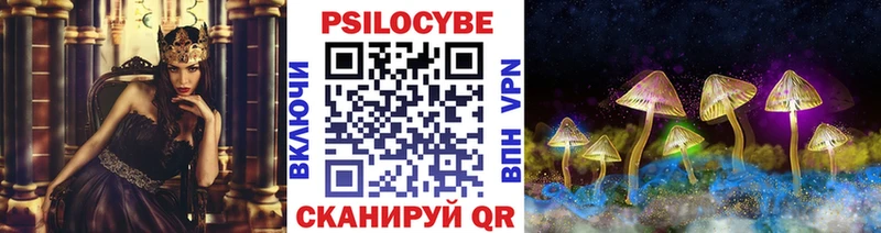 Купить закладки  Новоаннинский  Псилоцибиновые грибы GOLDEN TEACHER 
